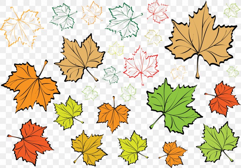 Maple Leaf Green, PNG, 1350x939px, Maple Leaf, Branch, Deciduous, Flora, Floral Design Download Free