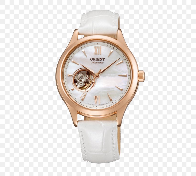 Orient Watch Mechanical Watch Clock Automatic Watch, PNG, 492x738px, Orient Watch, Automatic Watch, Bracelet, Clock, Japanese Clock Download Free