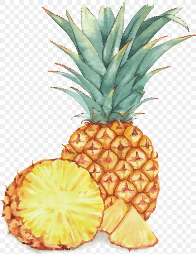 Watercolor Painting Fruit Drawing Illustration, PNG, 1484x1928px, Watercolor Painting, Ananas, Art, Bromeliaceae, Drawing Download Free