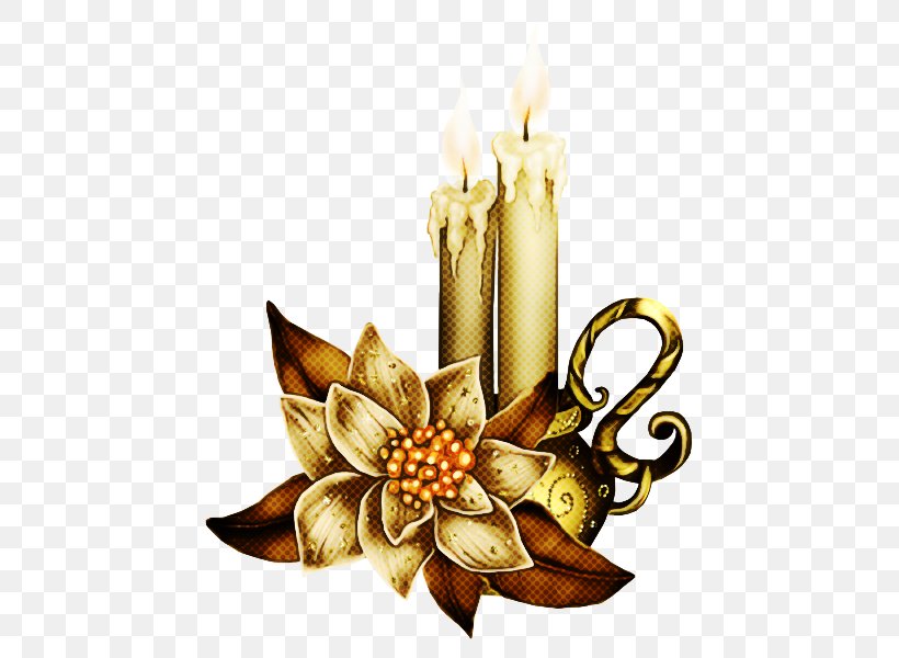 Candle Plant Candle Holder, PNG, 600x600px, Candle, Candle Holder, Plant Download Free