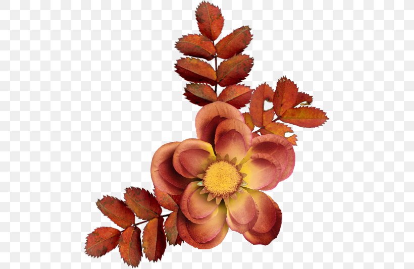 Centerblog Cut Flowers Petal, PNG, 487x533px, 2016, 2018, Centerblog, Avatar, Blog Download Free