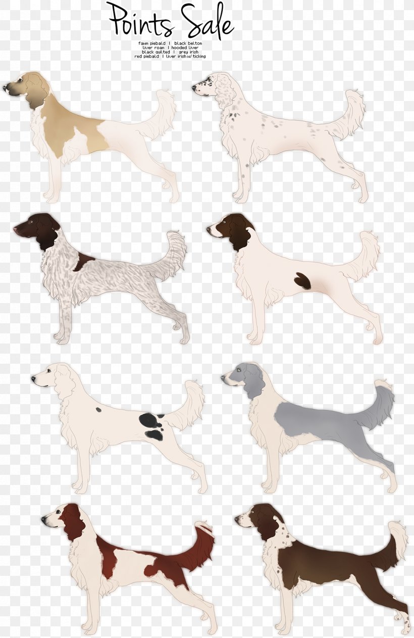 Dog Breed Font, PNG, 1147x1767px, Dog Breed, Breed, Carnivoran, Dog, Dog Like Mammal Download Free