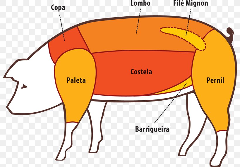 Domestic Pig Pork Spare Ribs Meat, PNG, 800x571px, Domestic Pig, Area, Beef, Cartoon, Diagram Download Free