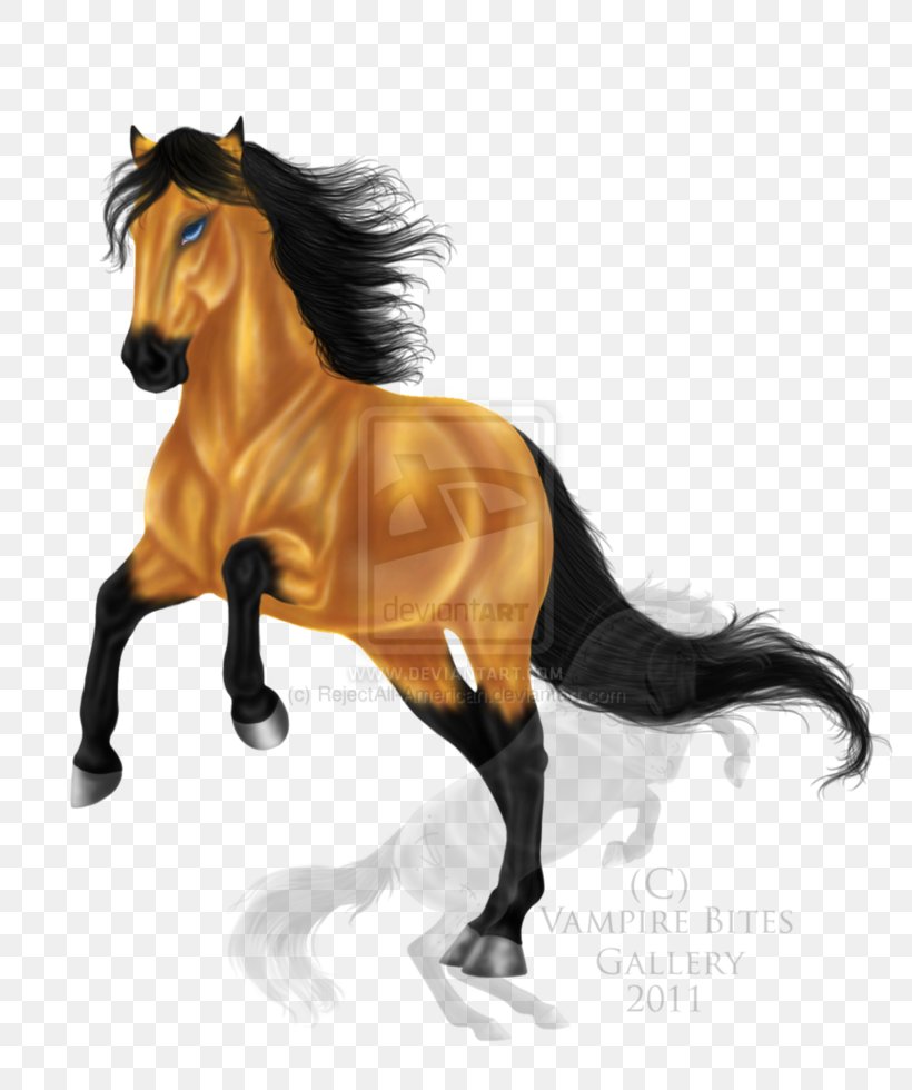 Mustang Stallion Mare Halter Rein, PNG, 814x980px, 2019 Ford Mustang, Mustang, Animal Figure, Ford Mustang, Halter Download Free