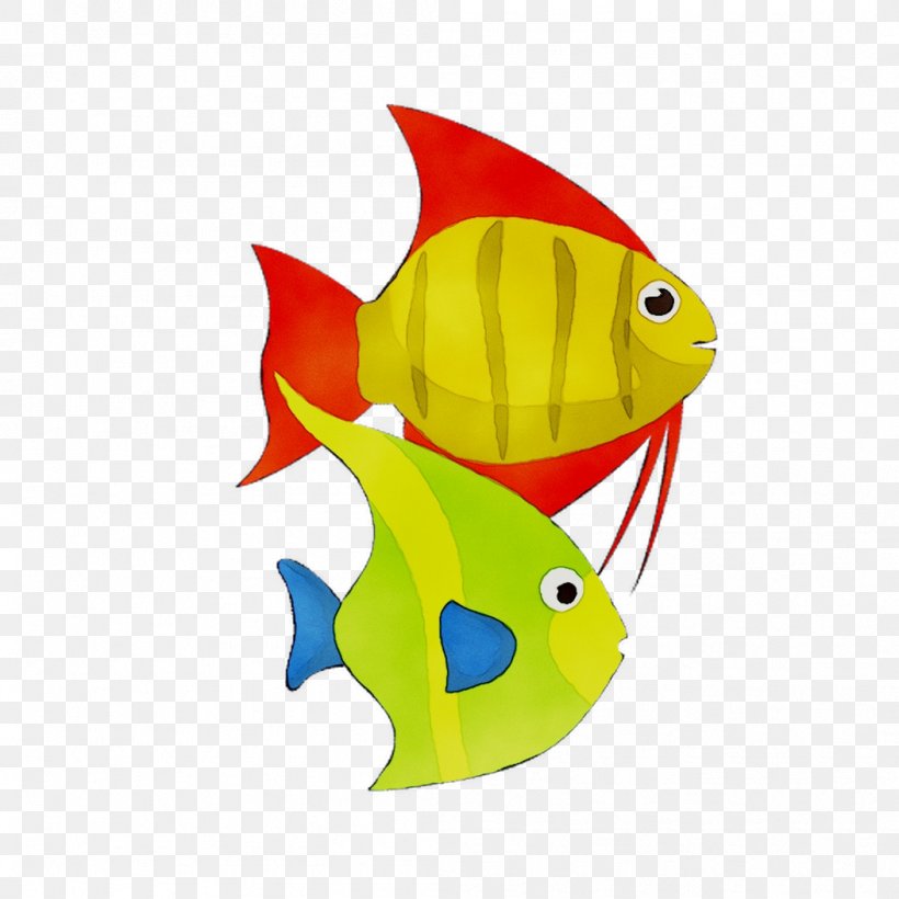 Yellow Marine Biology Fish Animal, PNG, 1053x1053px, Yellow, Animal, Animal Figure, Biology, Bonyfish Download Free