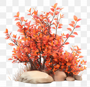 Autumn Bushes - Autumn Bushes With Rocks PNG
