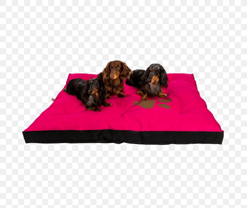 Dog Breed Mattress Pelechy Dog Beds, PNG, 690x690px, Dog, Bed, Breed, Czech Republic, Dog Bed Download Free