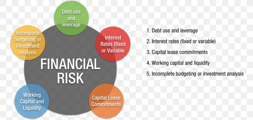 what are examples of financial risks