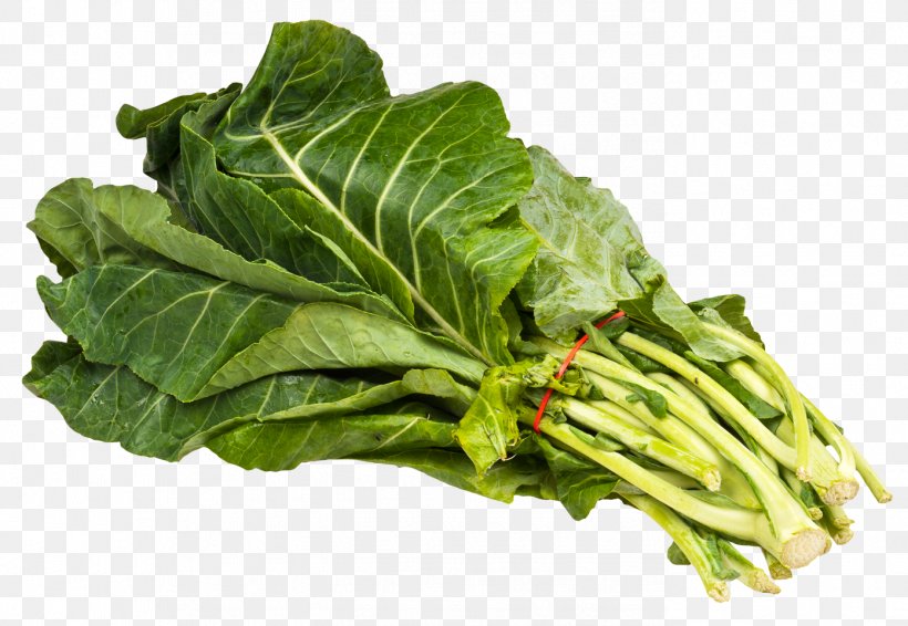 Marrow-stem Kale Vegetable Food Calcium, PNG, 1392x962px, Cabbage, Brassica, Brassica Juncea, Brassica Oleracea, Chard Download Free