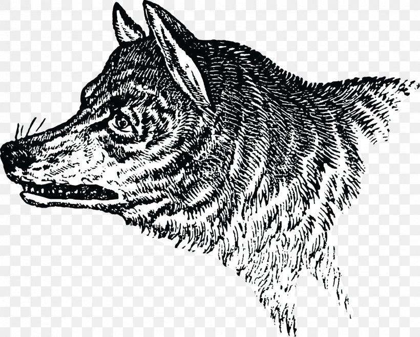 Clip Art Wolf Silhouette Image Drawing, PNG, 1783x1434px, Wolf, Black Norwegian Elkhound, Blackandwhite, Canidae, Canis Download Free
