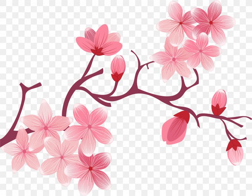 Flower Drawing, PNG, 1451x1134px, Flower, Blossom, Branch, Cherry Blossom, Drawing Download Free
