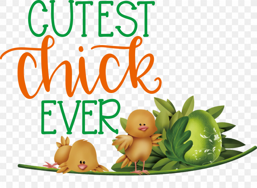 Happy Easter Cutest Chick Ever, PNG, 3000x2196px, Happy Easter, Biology, Flower, Fruit, Green Download Free