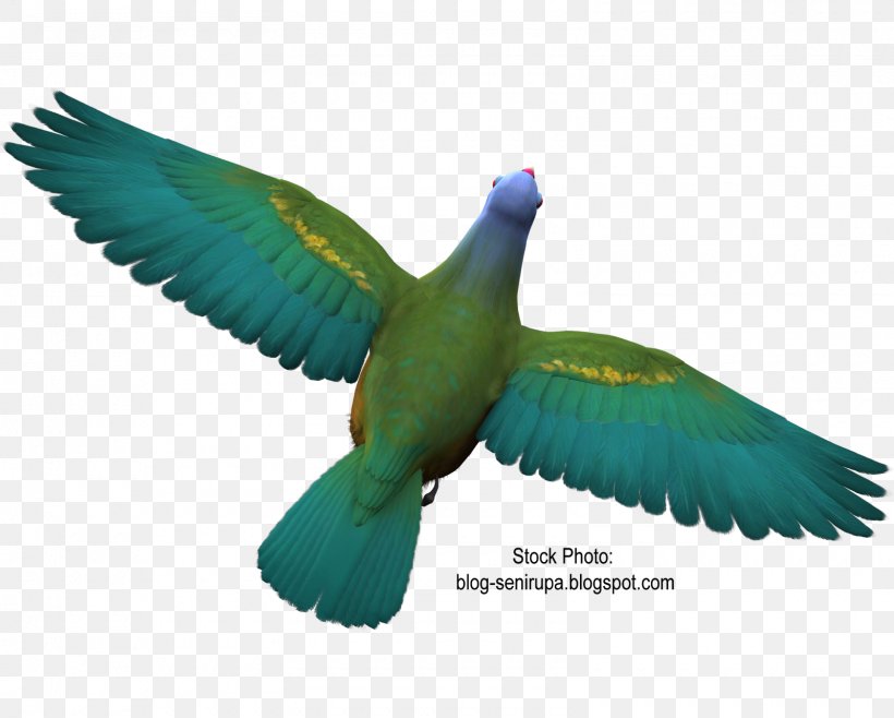 Hummingbird Columbidae Wing, PNG, 1600x1284px, Bird, Animation, Beak, Bird Flight, Blue Download Free