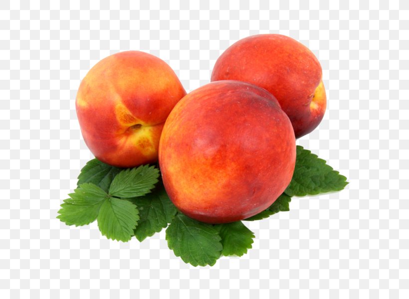 Peach Melba Juice Cobbler Food, PNG, 600x600px, Peach Melba, Apricot, Cherry, Cobbler, Diet Food Download Free