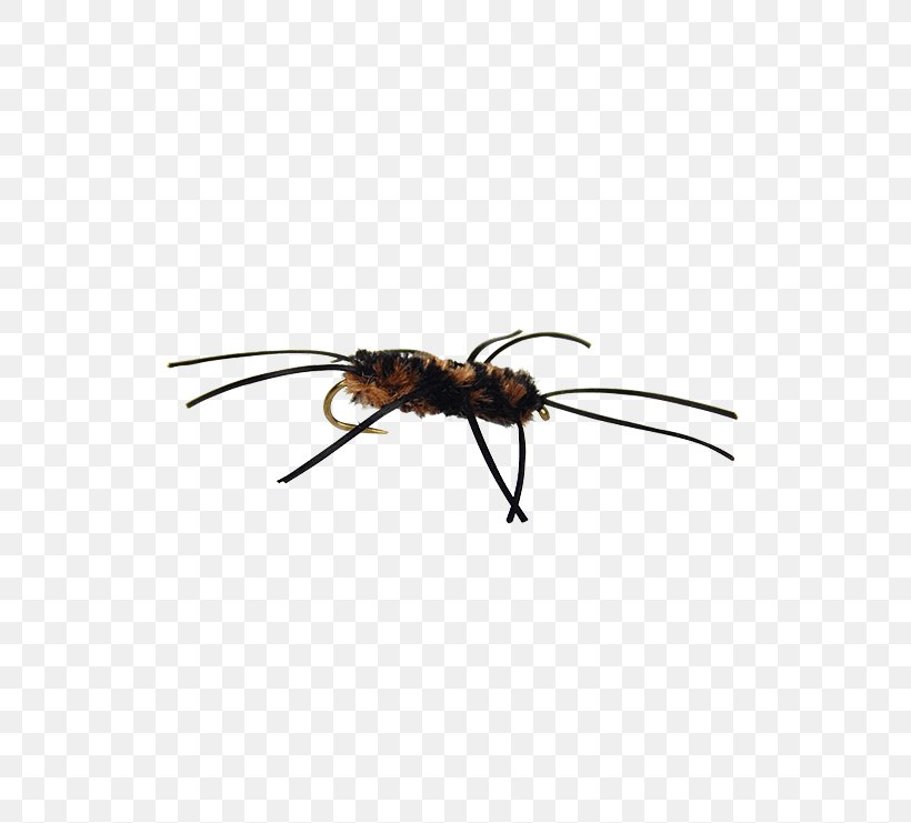 Ant California Fly Fishing Pennsylvania Stoneflies, PNG, 555x741px, Ant, Arthropod, California, Crate, Fishing Download Free