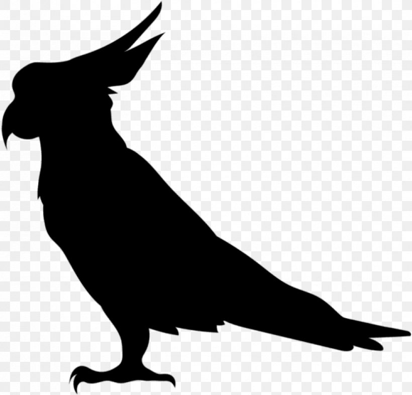 Bird Parrot, PNG, 830x796px, Parrot, Amazon Parrot, Beak, Bird, Blackandwhite Download Free