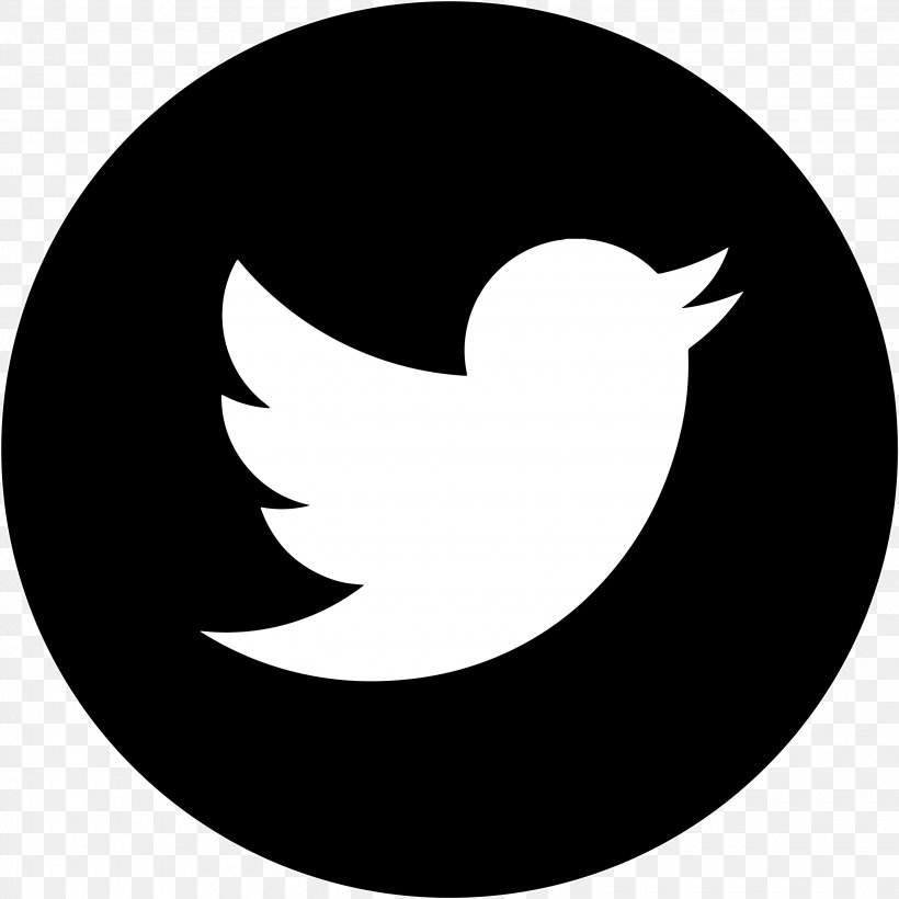 Twitter, PNG, 2860x2860px, Logo, Beak, Bird, Black And White, Crescent Download Free