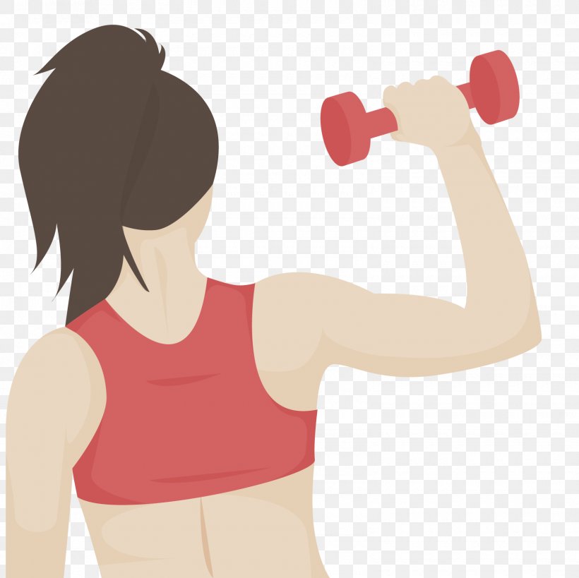 Physical Fitness Weight Training Physical Exercise Fitness Centre Bodybuilding, PNG, 1600x1600px, Watercolor, Cartoon, Flower, Frame, Heart Download Free