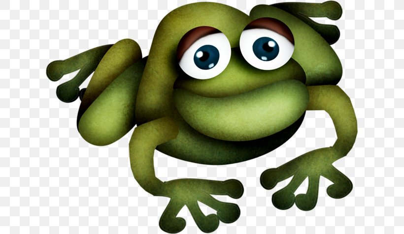 Toad Photography True Frog Clip Art, PNG, 635x476px, Toad, Amphibian, Color, Frog, Fruit Download Free
