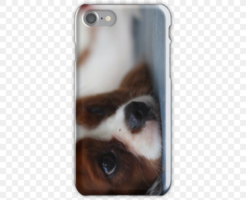 Dog Snout Whiskers Mobile Phone Accessories Mobile Phones, PNG, 500x667px, Dog, Dog Like Mammal, Fur, Iphone, Mobile Phone Accessories Download Free