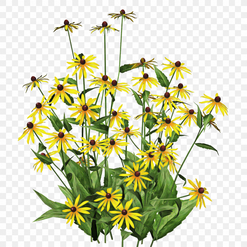 Flower Plant Yellow Wildflower Tickseed, PNG, 1600x1600px, Flower, Daisy Family, Pedicel, Perennial Plant, Plant Download Free
