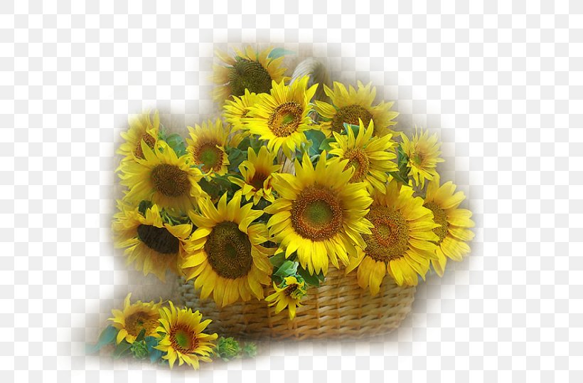 Common Sunflower Floral Design Birthday Cut Flowers, PNG, 700x538px, Common Sunflower, Birthday, Cut Flowers, Daisy Family, Floral Design Download Free