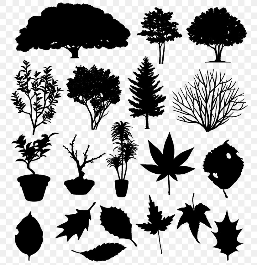 Silhouette Royalty-free Tree, PNG, 770x847px, Silhouette, Black And White, Bonsai, Branch, Flora Download Free