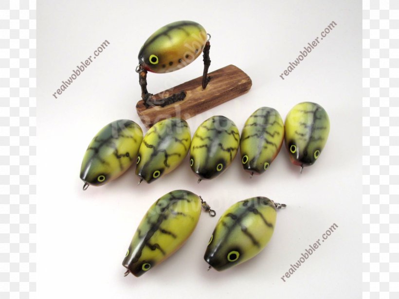 Beetle Fishing Bait Insect, PNG, 1200x900px, Beetle, Fishing, Fishing Bait, Insect, Invertebrate Download Free