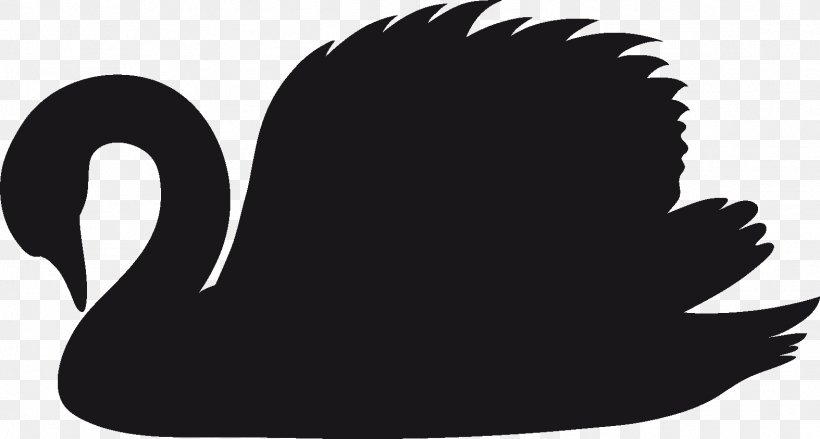 Black Swan Silhouette Photography Clip Art, PNG, 1574x843px, Black Swan, Beak, Bird, Black, Black And White Download Free