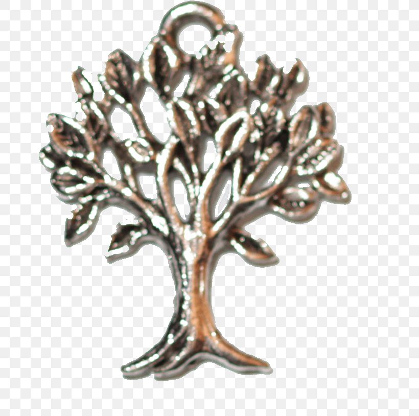 Brooch Silver Body Jewellery, PNG, 670x814px, Brooch, Body Jewellery, Body Jewelry, Branch, Jewellery Download Free