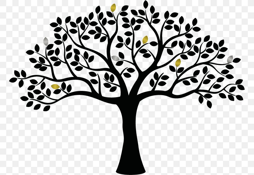 Family Tree Clip Art, PNG, 761x566px, Family Tree, Black And White