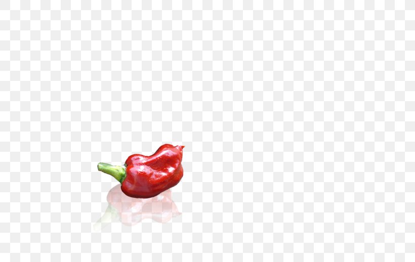 Habanero Piquillo Pepper Capsicum Annuum Var. Acuminatum Serrano Pepper Tabasco Pepper, PNG, 700x518px, Habanero, Bell Pepper, Bell Peppers And Chili Peppers, Body Jewelry, Capsicum Download Free