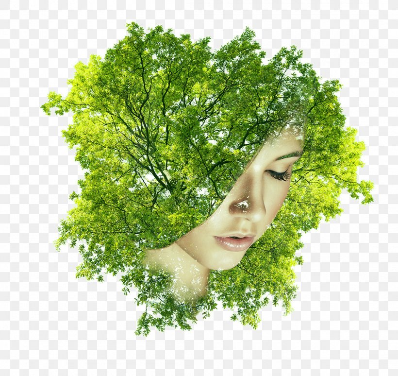 Woman Multiple Exposure, PNG, 1100x1039px, Woman, Avatar, Branch, Creativity, Designer Download Free