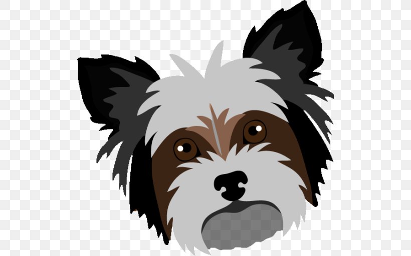 Yorkshire Terrier Cairn Terrier Puppy Shih Tzu Dog Breed, PNG, 512x512px, Yorkshire Terrier, Bichon, Bichon Frise, Breed, Cairn Terrier Download Free