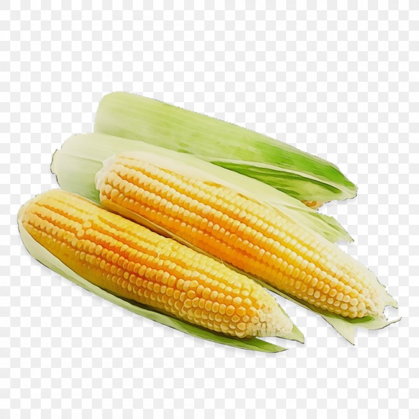Corn Kernels Corn On The Cob Sweet Corn Food Corn On The Cob, PNG, 1000x1000px, Watercolor, Corn, Corn Kernels, Corn On The Cob, Cuisine Download Free