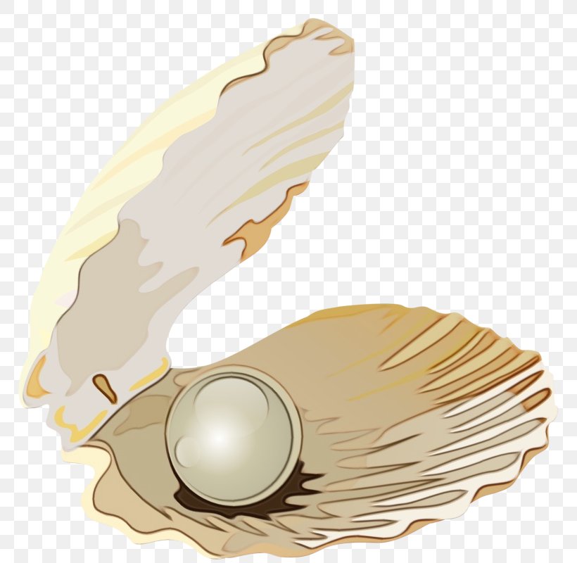 Feather, PNG, 778x800px, Watercolor, Beige, Feather, Natural Material, Paint Download Free