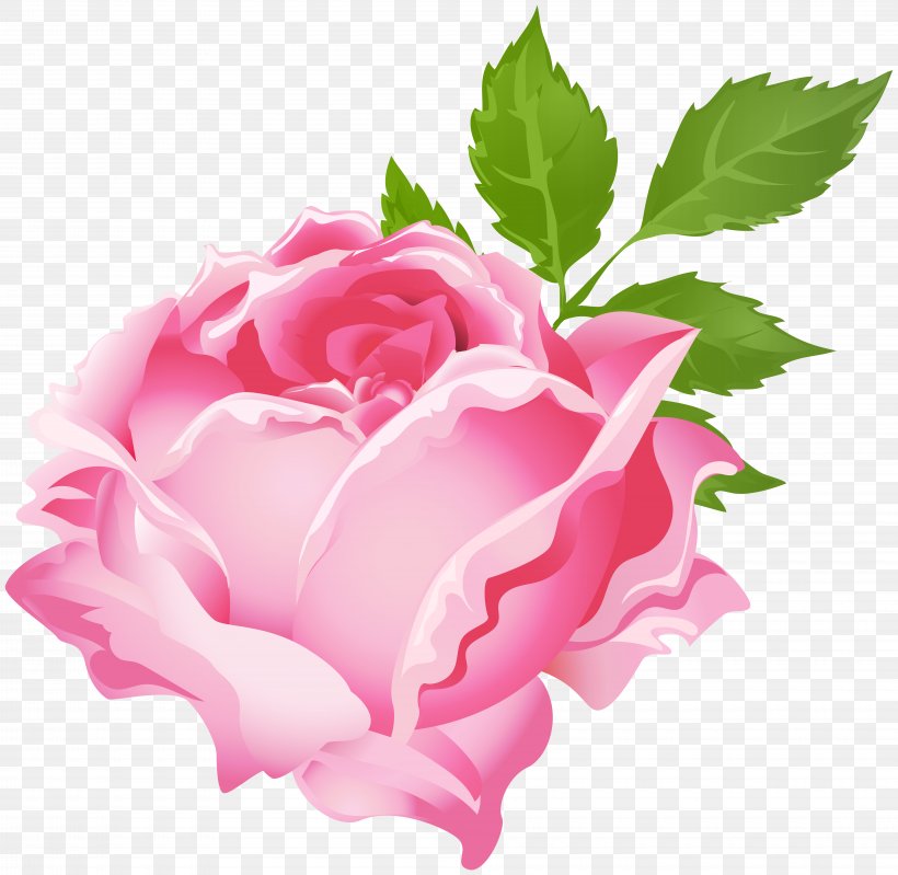 Rose Purple Clip Art, PNG, 8000x7801px, Rose, Animation, Color, Cut Flowers, Floral Design Download Free