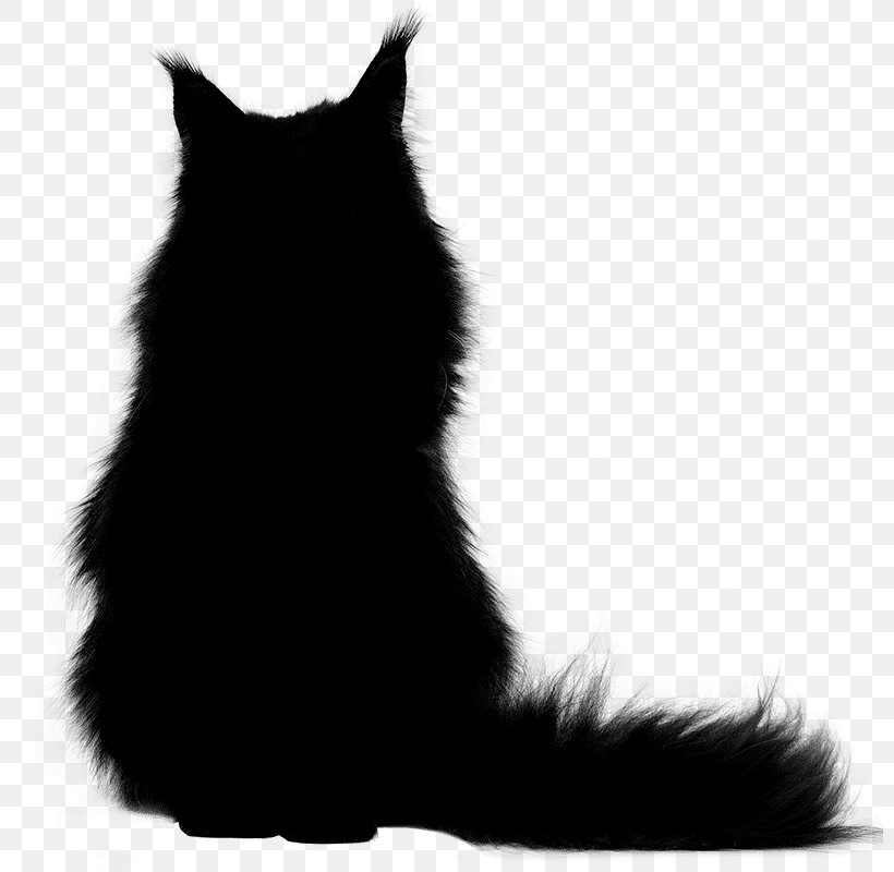 Whiskers Cat Dog Mammal Fur, PNG, 800x800px, Whiskers, Black Cat, Black M, Blackandwhite, British Longhair Download Free