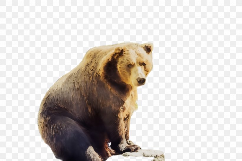 Bear Brown Bear Grizzly Bear Terrestrial Animal Wildlife, PNG, 2448x1632px, Watercolor, Animal Figure, Bear, Brown Bear, Grizzly Bear Download Free