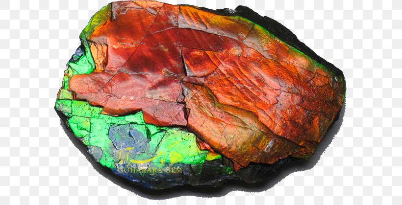 Bearpaw Formation Ammolite Rock Mineral Ammonites, PNG, 600x419px, Ammolite, Ammonites, Fossil, Gemstone, Geological Formation Download Free