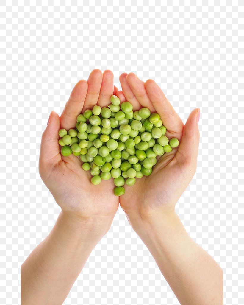 Pea Food Nutrition Bean, PNG, 680x1024px, Pea, Common Bean, Diet Food, Ervilha Petit Pois, Finger Download Free