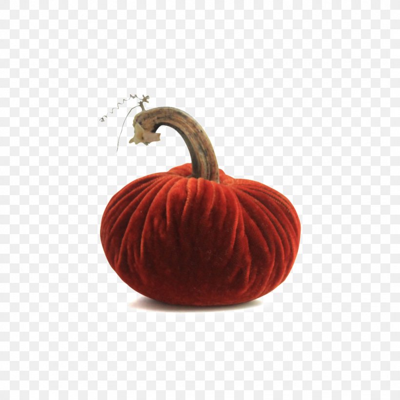 Pumpkin Thanksgiving Holiday Centrepiece Gift, PNG, 1024x1024px, Pumpkin, Centrepiece, Christmas And Holiday Season, Cucurbita, Daily Download Free
