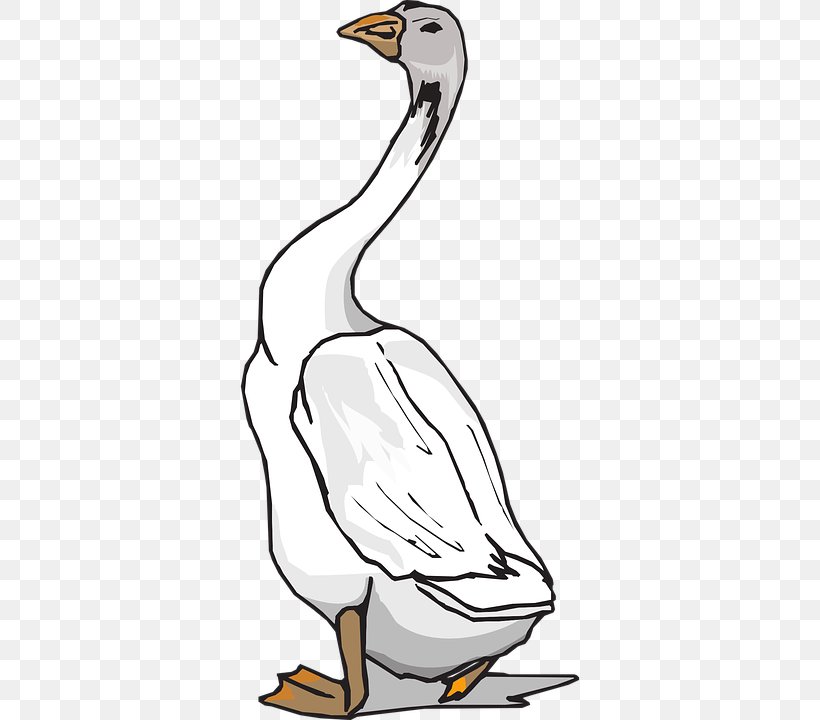 Duck Goose Bird Clip Art, PNG, 360x720px, Duck, Artwork, Beak, Bird, Black And White Download Free