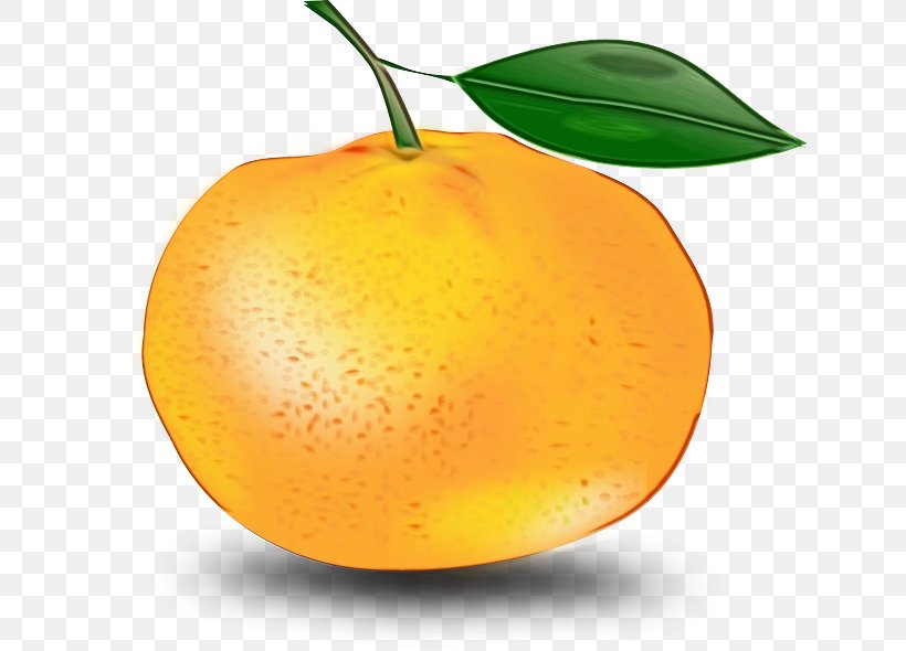 Fruit Cartoon, PNG, 640x590px, Clementine, Accessory Fruit, Bitter Orange, Blood Orange, Citrus Download Free