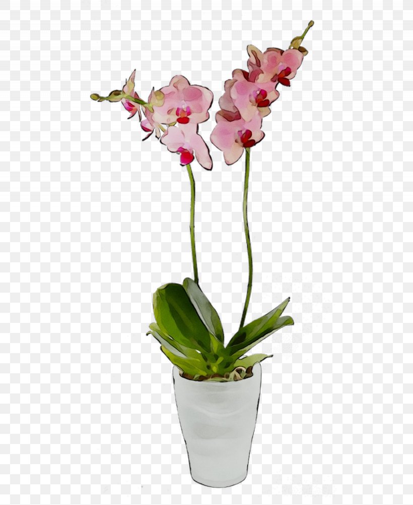 Moth Orchids Cut Flowers Cattleya Orchids Flowerpot, PNG, 1025x1252px, Moth Orchids, Artificial Flower, Cattleya, Cattleya Orchids, Cut Flowers Download Free