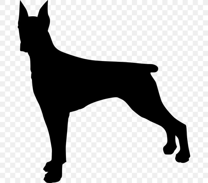 Dobermann German Shepherd Rottweiler Clip Art, PNG, 680x720px, Dobermann, Black, Black And White, Carnivoran, Dog Download Free