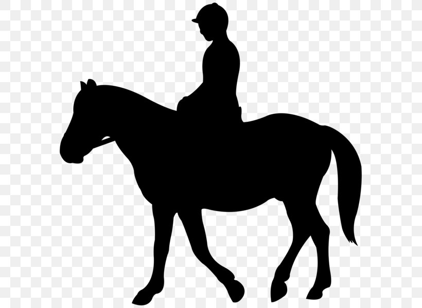 Jockey English Riding Mustang Silhouette Clip Art, PNG, 597x600px, Jockey, Bit, Black And White, Bridle, Colt Download Free