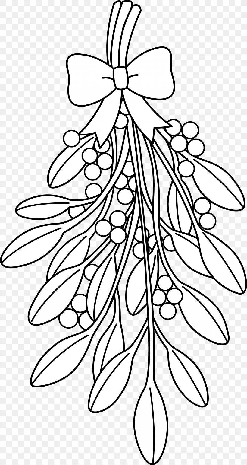 Mistletoe Coloring Book Drawing Tree Christmas, PNG, 4303x8090px, Mistletoe, Art, Black And White, Book, Branch Download Free