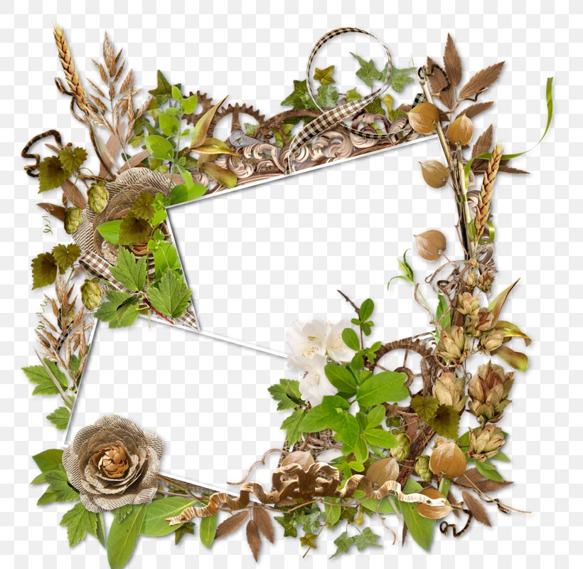 Background Flower Frame, PNG, 800x800px, Floral Design, Branch, Flower, Interior Design, Leaf Download Free