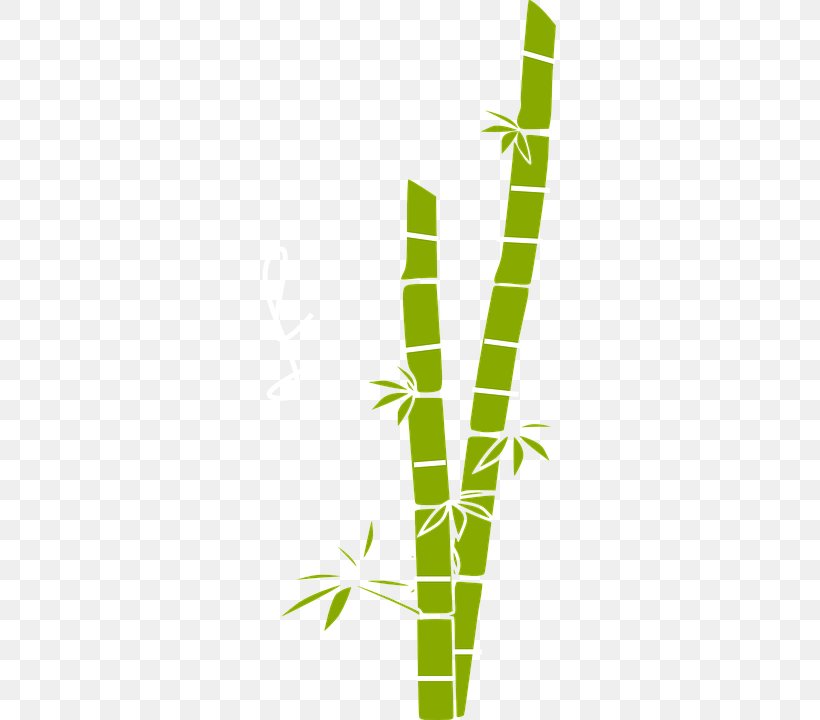 Bamboo Free Content Clip Art, PNG, 360x720px, Bamboo, Bamboe, Bamboo Shoot, Document, Drawing Download Free